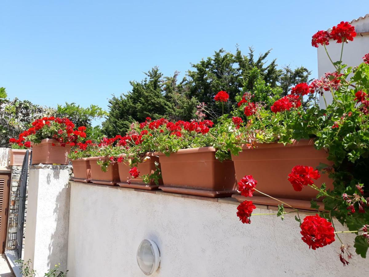 Villino Messina Apartment Сан Вито ло Капо Екстериор снимка